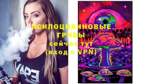ECSTASY Алзамай