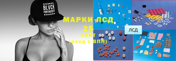 ECSTASY Алзамай