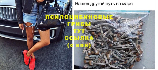 дживик Переславль-Залесский