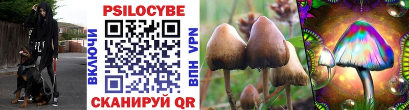 где продают наркотики Лиски Псилоцибиновые грибы Psilocybine cubensis