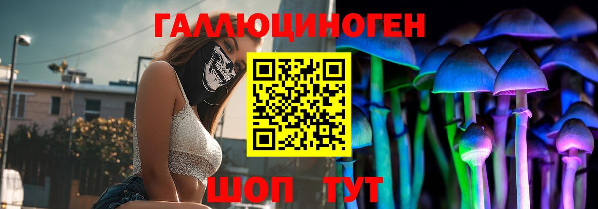Псилоцибиновые грибы прущие грибы Лиски