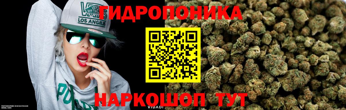 Канабис OG Kush  Вход с VPN  Лиски  Каннабис White Widow 